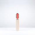 Classic Prestige Cricket Bat - Adult