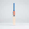 Havoc 1.0 GN550 Superlite Adult Cricket Bat