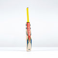 Havoc HB317 Warrior Junior Cricket Bat