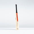 Legend Platinum Edition Adult Cricket Bat
