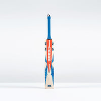 Havoc 1.0 Pro Junior Cricket Bat