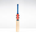 Havoc 1.0 Pro Junior Cricket Bat