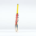 Havoc HB317 GN550 Junior Cricket Bat