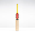 CAGE26English Willow Bats Havoc HB317 GN550 Face