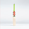Havoc 1.3 Pro Superlite Adult Cricket Bat