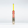 Imperia 1.1 GN330+ Adult Cricket Bat
