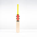 CAJB26English Willow Bats Imperia 1.1 Pro Lite Face