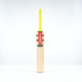 Imperia 1.1 GN330+ Junior Cricket Bat