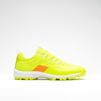 Stealth Shoe